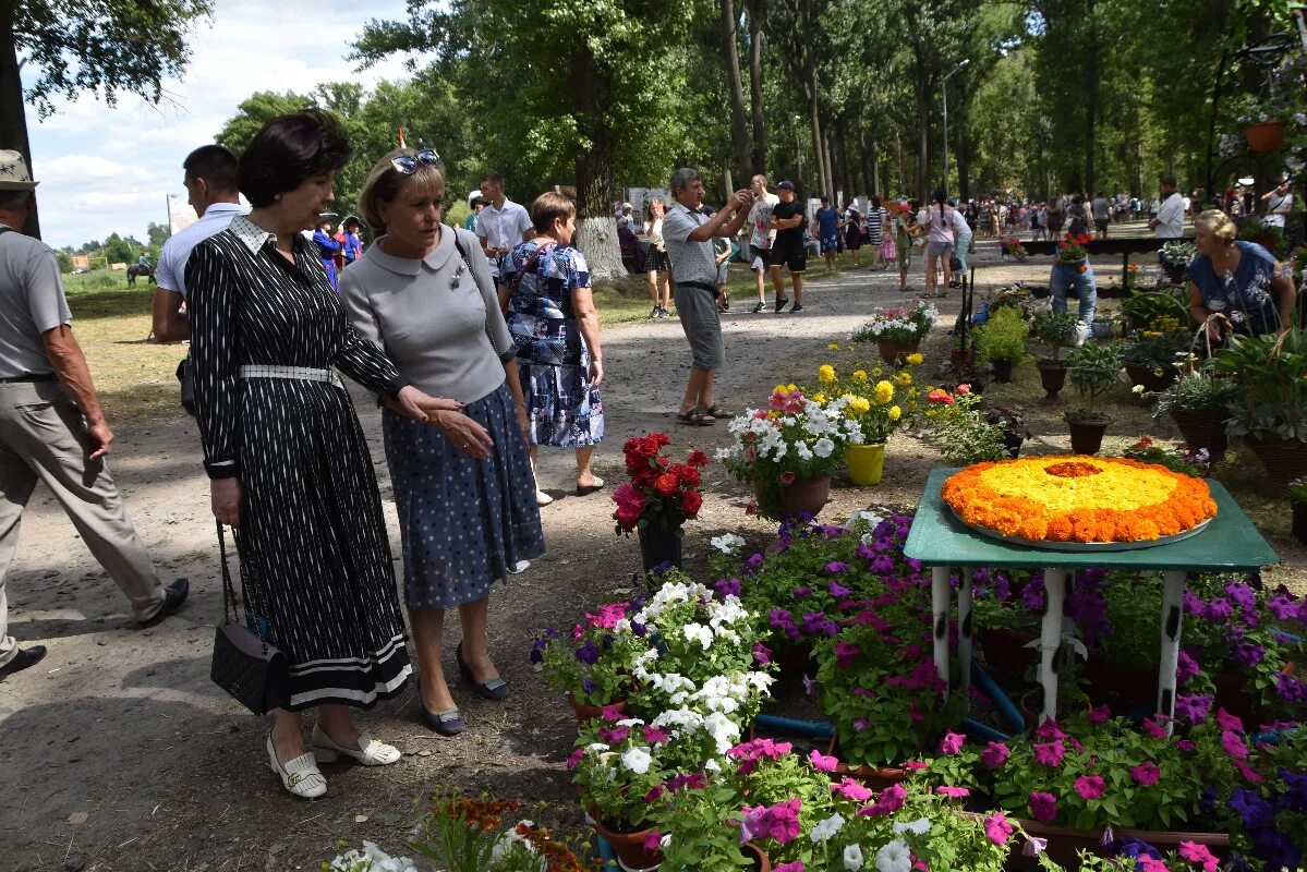 Новости сегодня старый оскол белгородская область. Выставка цветов. Фестиваль цветов. Выставка цветочных композиций. Конкурс цветов.