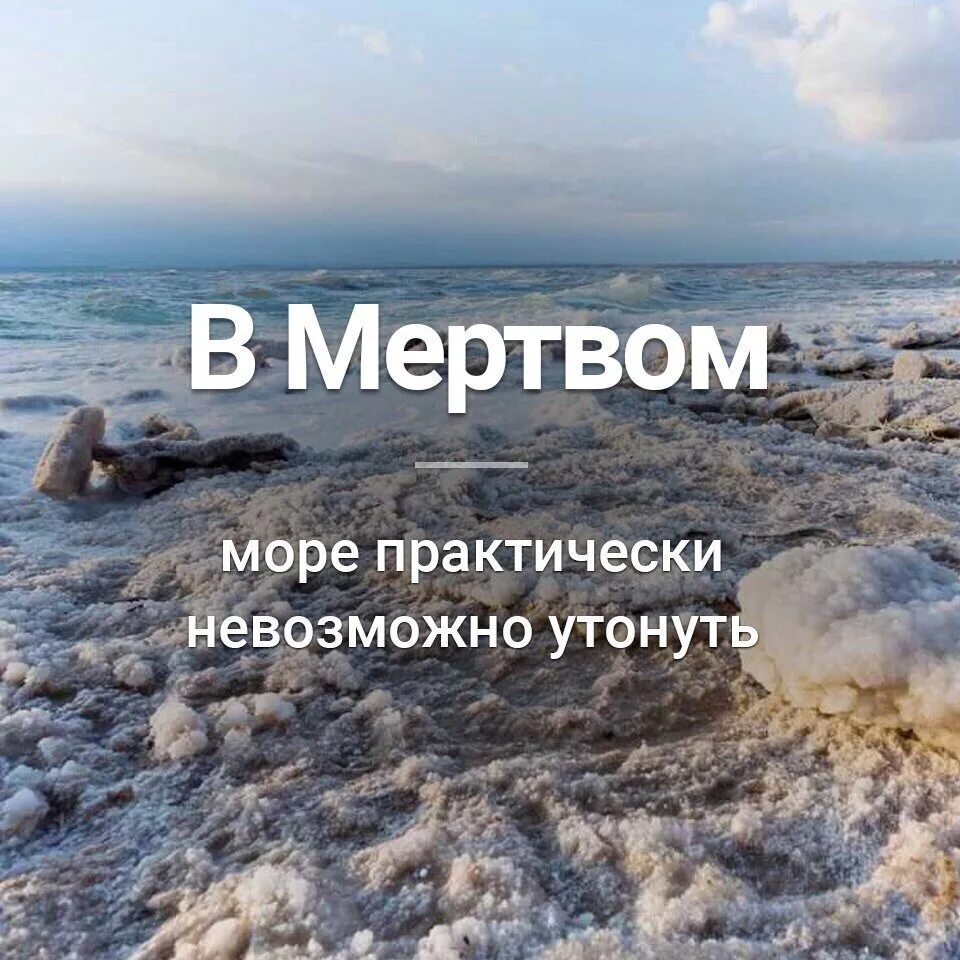 Интересная информация о чёрном море. Интересные факты о морях и океанах. Интересные факты о океанах. Интересные факты о морях и океанах. Проект про море лаптевых.