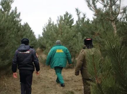 Охране ели