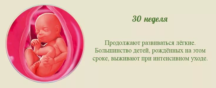 Малыш на 30 неделе беременности. Ребёнок в утробе матери 30 недель. 30 недель беременности что происходит с мамой