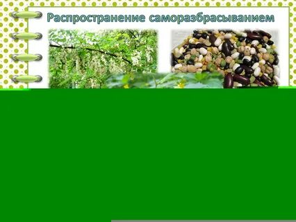 Распространение саморазбрасыванием