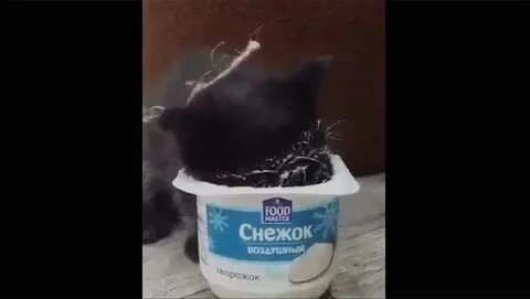 3 кота йогурт