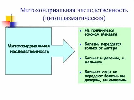 Митохондриальное наследование