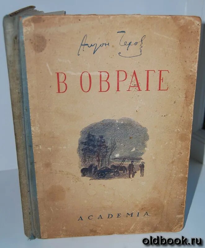 Чехов в овраге читать. Чехов в овраге книга. Чехов в овраге читать. Обложка книги чехова в овраге. В овраге чехов.