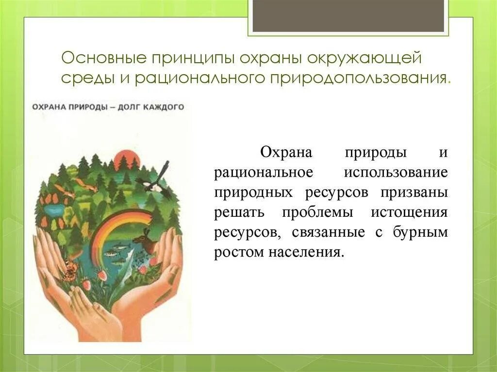 Планирование природопользования и охраны окружающей. Принципы охраны окружающей среды. экологические принципы охраны окружающей среды. основные принципы окружающей среды. принципы рационального природопользования и охраны.