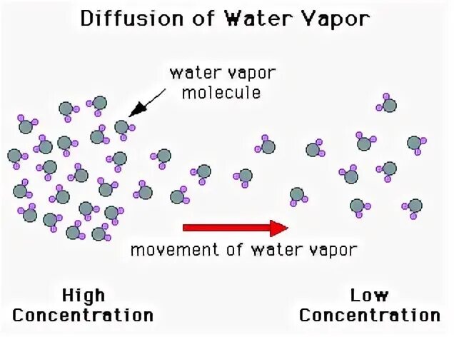 Diffusion process. Stable diffusion картинки. stable diffusion стили. стабл диффузион нейросеть.