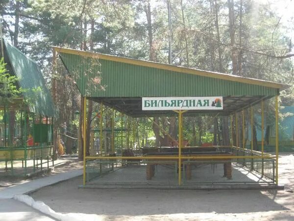 Турбаза сосёнки на волге самара. Сосенки турбаза тольятти. Святогорск лесная. Отдых сосенки. Турбаза сосёнки на волге самара.