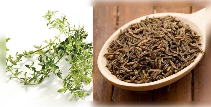 тмин тимьян чабрец и чабер. кумин тимьян тмин. кумин тимьян тмин. тмин овощной аппетитный (0,5г). тмин и тимьян одно и тоже.