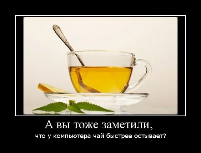 давайте пить чай. смешной чай. пить чай смешные картинки. сейчас чай допью. кружки с прикольными изображениями.