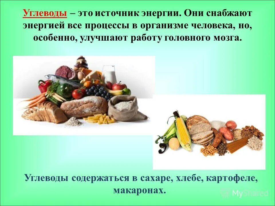 жиры как источник энергии. жиры как источник энергии. жиры и углеводы как источник энергии.