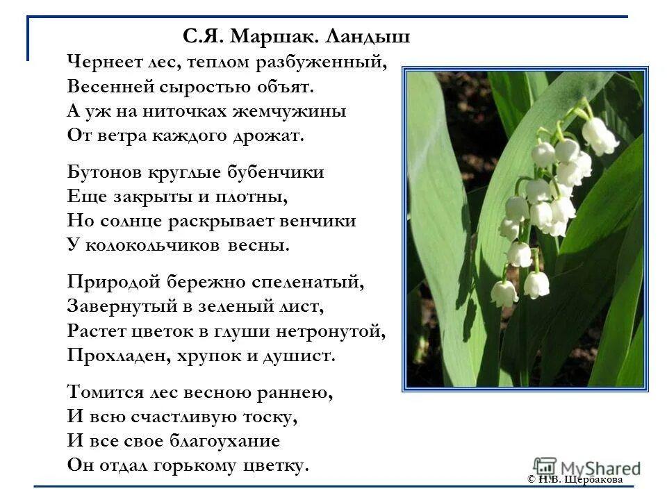 Песня со словами ландыши. Чернеет лес теплом разбуженный весенней. Ландыши Чайковский стих.