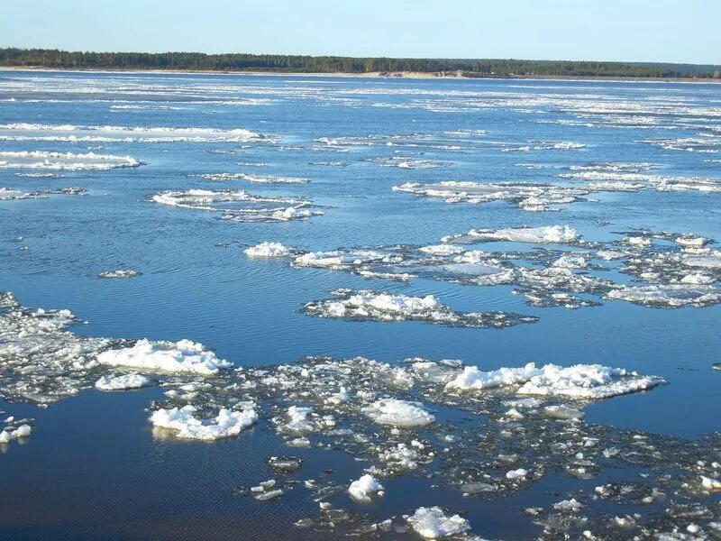 Освободиться ото льда. Озеро освобождается ото льда. Талая вода. Реки освобождаются ото льда. Когда водные объекты освобождаются ото льда в Воронежской области.