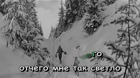 Старый клен караоке