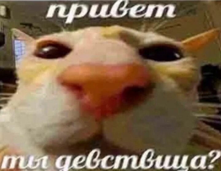 Как я была девственницей
