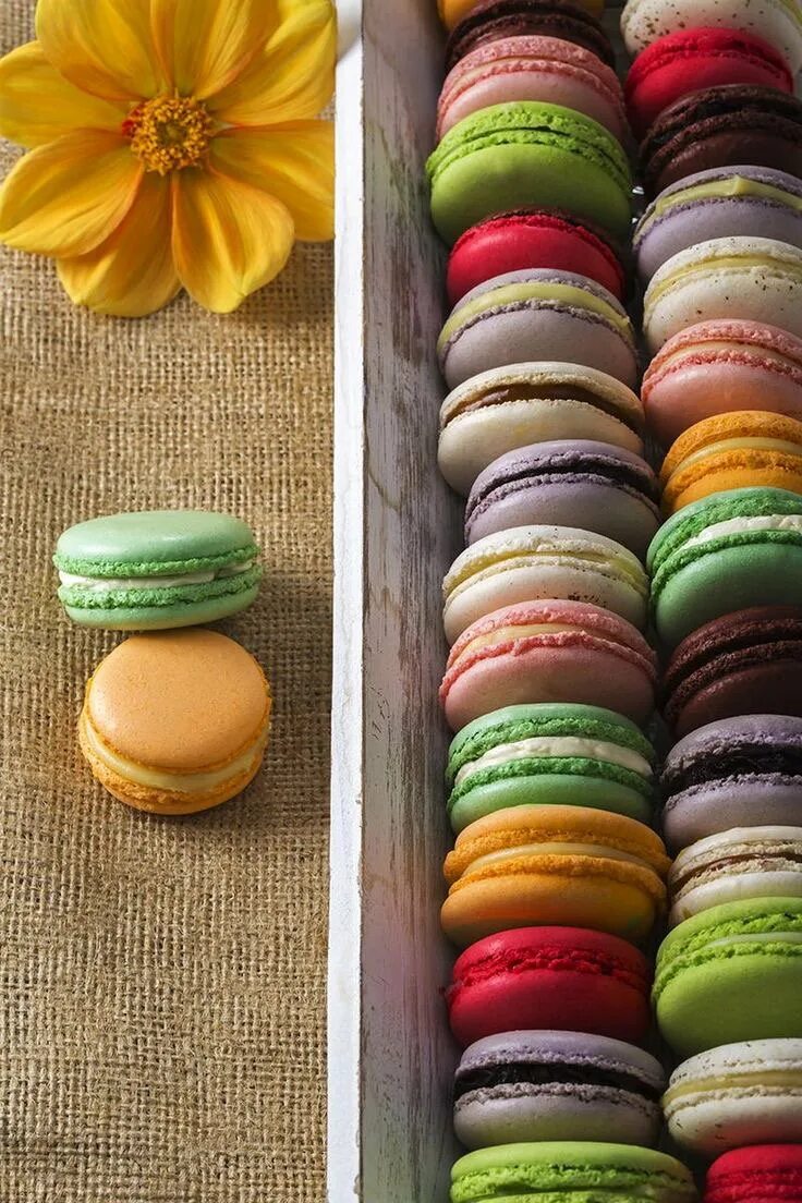 как сделать макароны рецепт. печенье макаронс. макаронс. как сделать макароны рецепт. как сделать макароны рецепт.