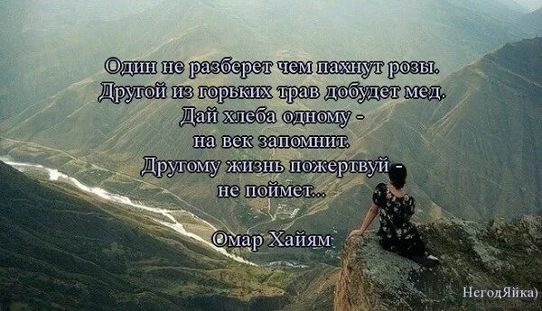 Один не разберет чем пахнут розы другой. Один не разберёт чем пахнут розы картинки. Один не разберет чем. Один не разберет чем пахнут розы. Один из горьких трав.