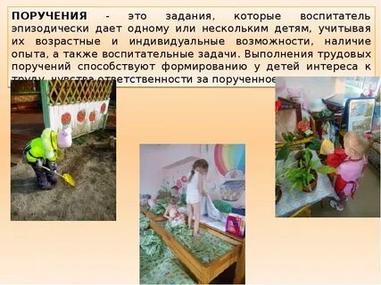 Проект трудовая деятельность