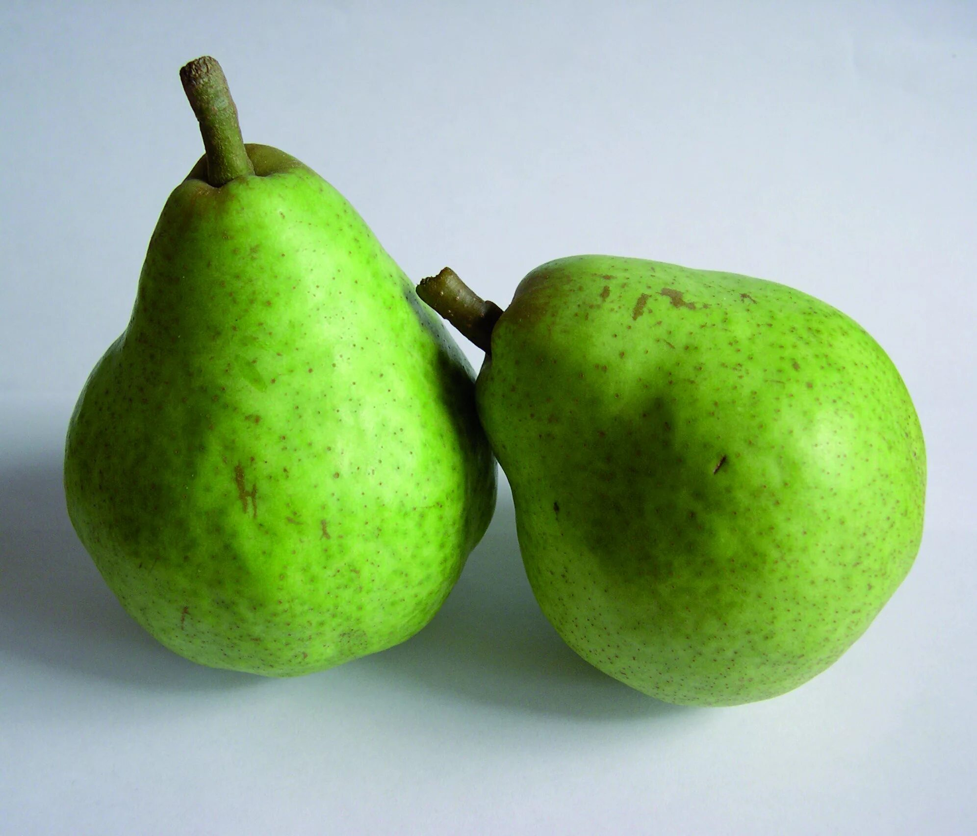 Pear 6. Груша Вильямс. Вильямс (сорт груш). Груша Пакхам. Груши Пакхам Аргентина.