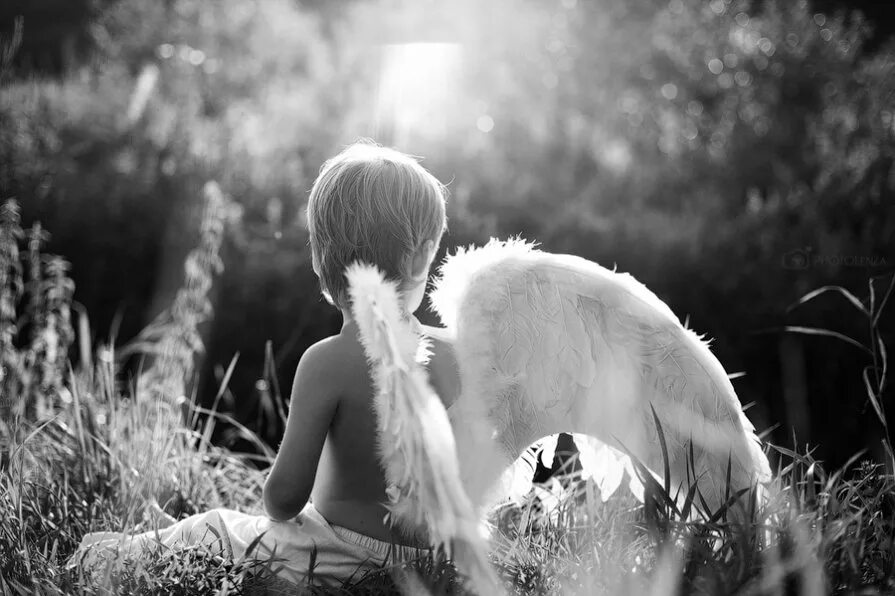 ангел мальчик. маленький ангел. ангел мальчик. мальчик ангел. мальчик с крыльями.