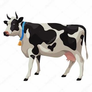 Сексуалдық ананың қарауы