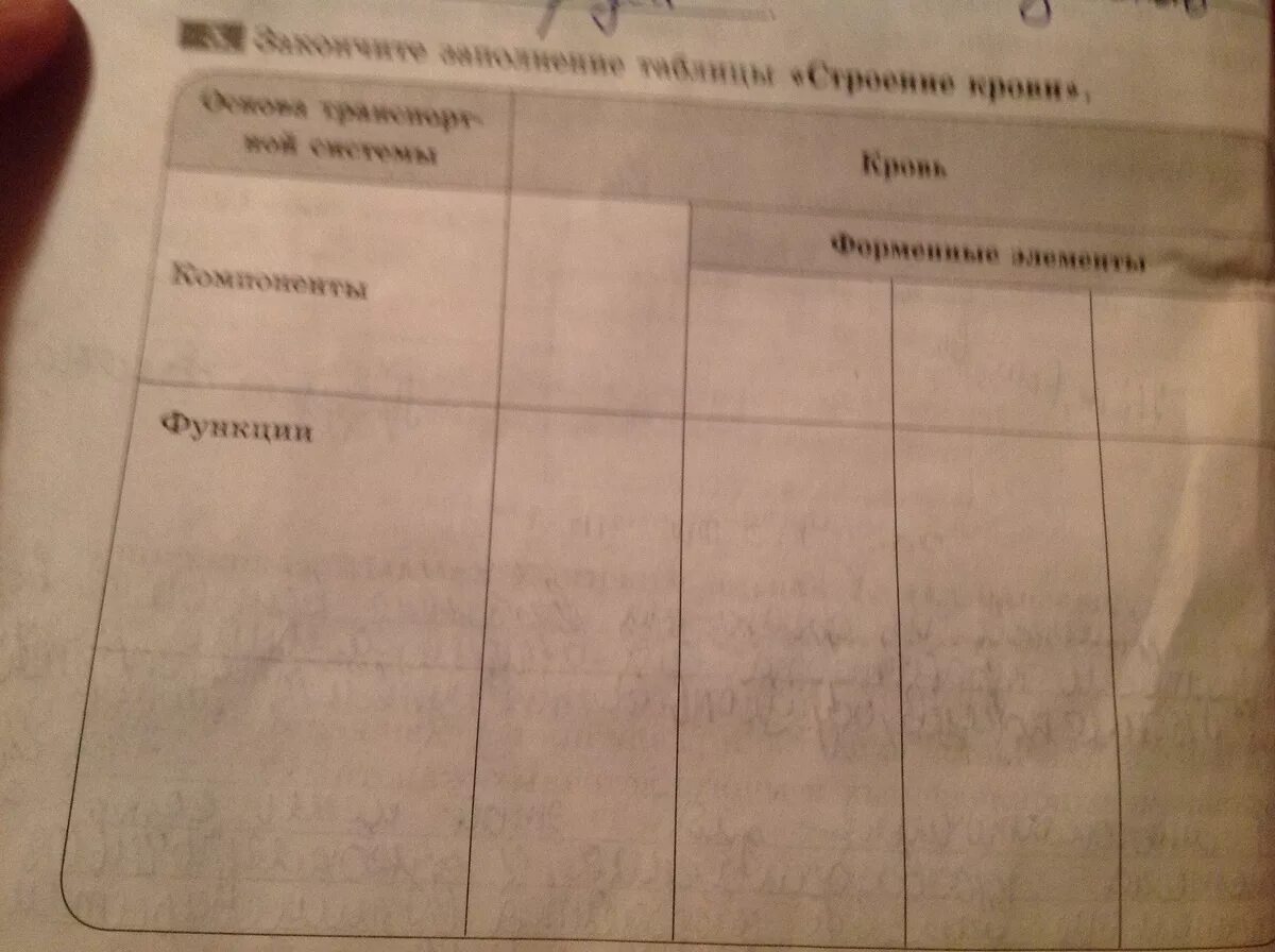 Внутренняя среда организма. Состав и функции крови