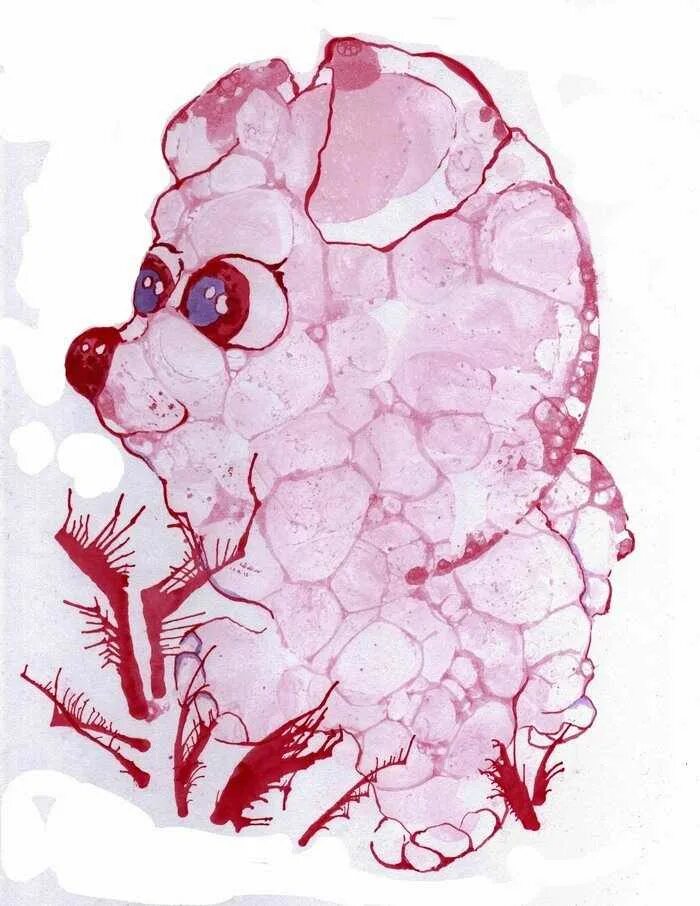 Нетрадиционные техники рисования для детей мыльными пузырями. Рисование мыльными пузырями в детском. Рисование мыльными пузырями техники. Рисование мыльными пузырями мастер класс. Рисование мыльными пузырями в детском саду.
