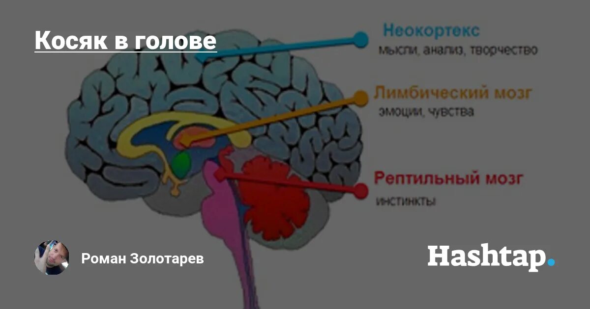 Рептильный мозг. Рептильный мозг человека древний. Рептильный мозг и неокортекс. Страх рептильный мозг.