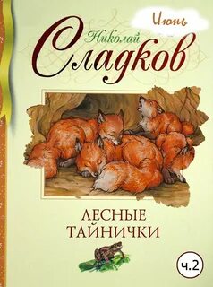 Лесные тайнички