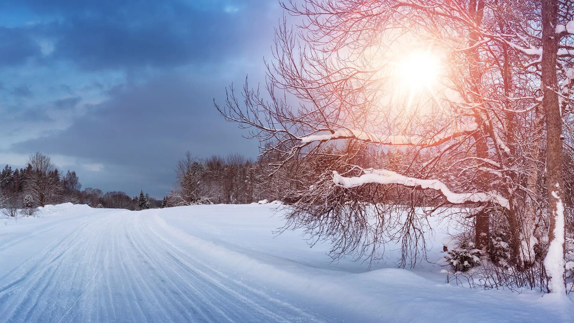 Декабрь картинки. Зима декабрь. Декабрьская природа. Зимой в декабре. Природа декабрь снег.