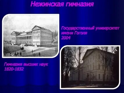 Гимназия высшая
