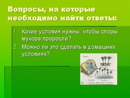 Условия какие вопросы