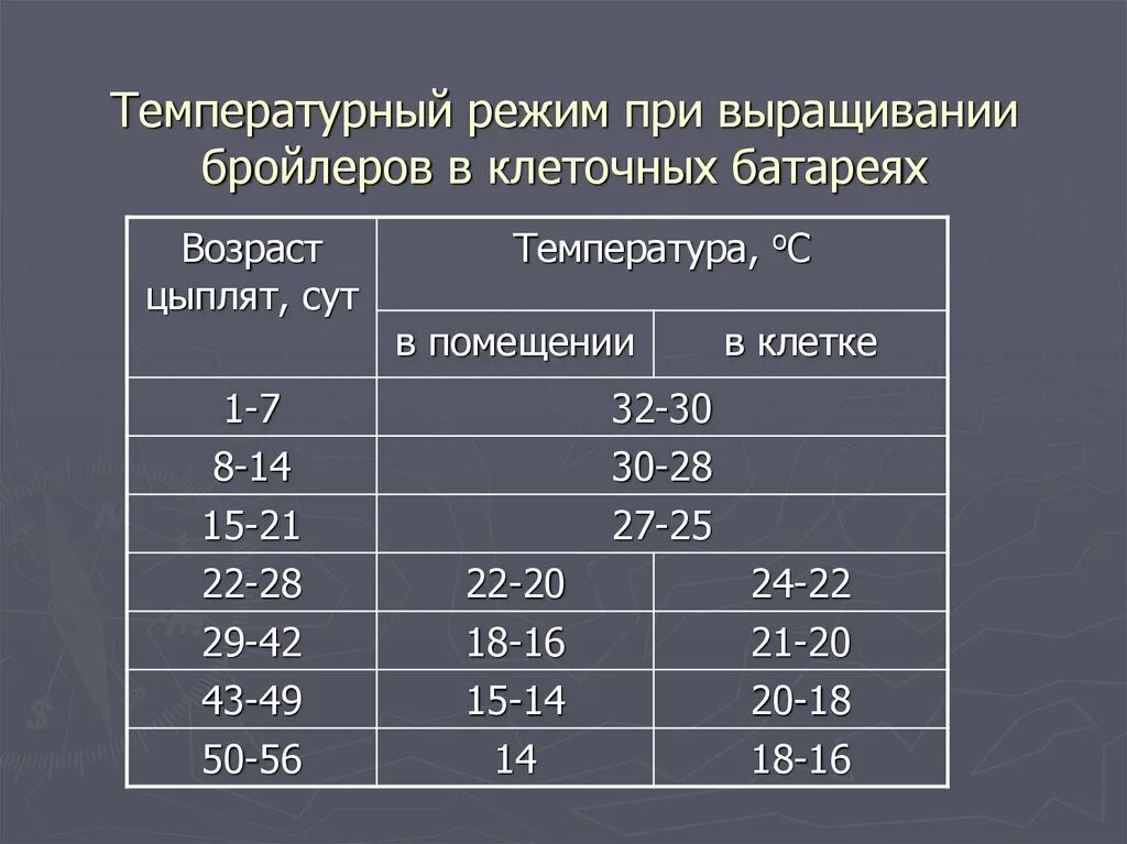 При какой температуре можно цыплят. Температурный режим для бройлеров Кобб 500. Таблица содержания бройлеров в брудере. Температурный режим для цыплят бройлеров таблица. Температурный режим для бройлеров таблица.