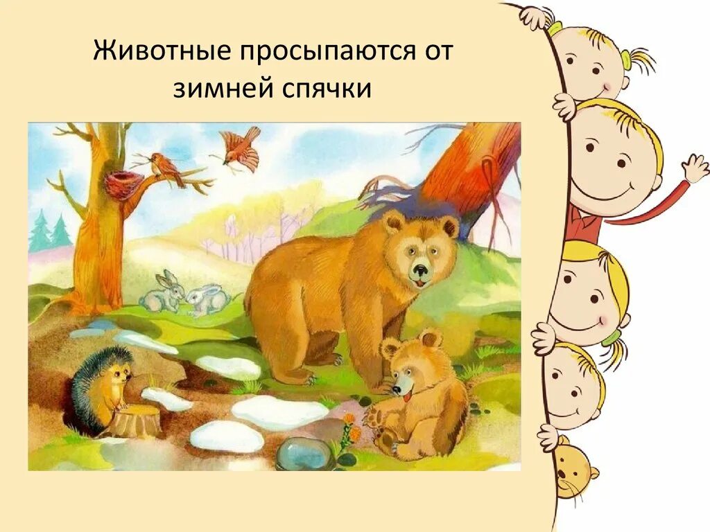 Что делают животные весной