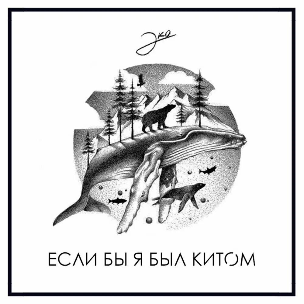 Летающий кит. Есть ли киты в черном море. Фразы про китов. Небесный кит геншин. Девочка и кит.