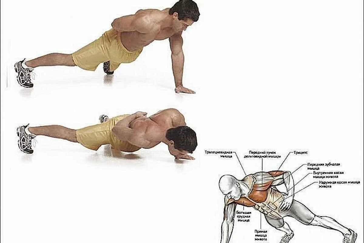 Как убрать ягодицы мужчине. Техника отжиманий от пола на грудные мышцы. Упражнения на грудные мышцы для мужчин отжимания. Прокачка грудных мышц отжиманиями. Как качать грудь отжиманиями от пола.