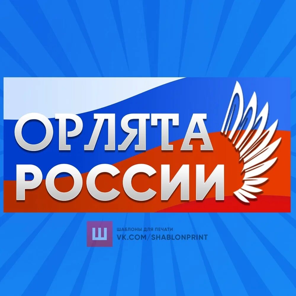 Орлята россии войти в личный кабинет вход. Орлята России. Стенд Орлята России. Орлята России плакат. Орлята России атрибутика.