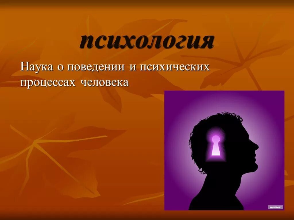 Психология человеческого поведения. Психология наука о поведении. Психология как наука о поведении. Наука о поведении человека. Психология человека.