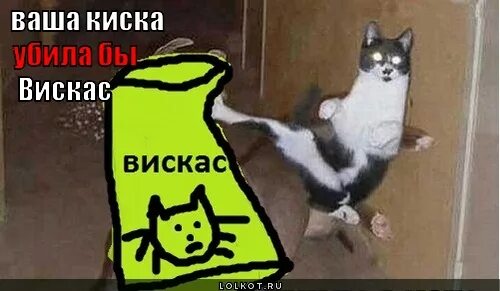 Ваша купила бы вискас. Ваша киска купила бы вискас. ваша киска купила бы вискас прикол. киска вискас приколы. ваша киска купила бы whiskas.