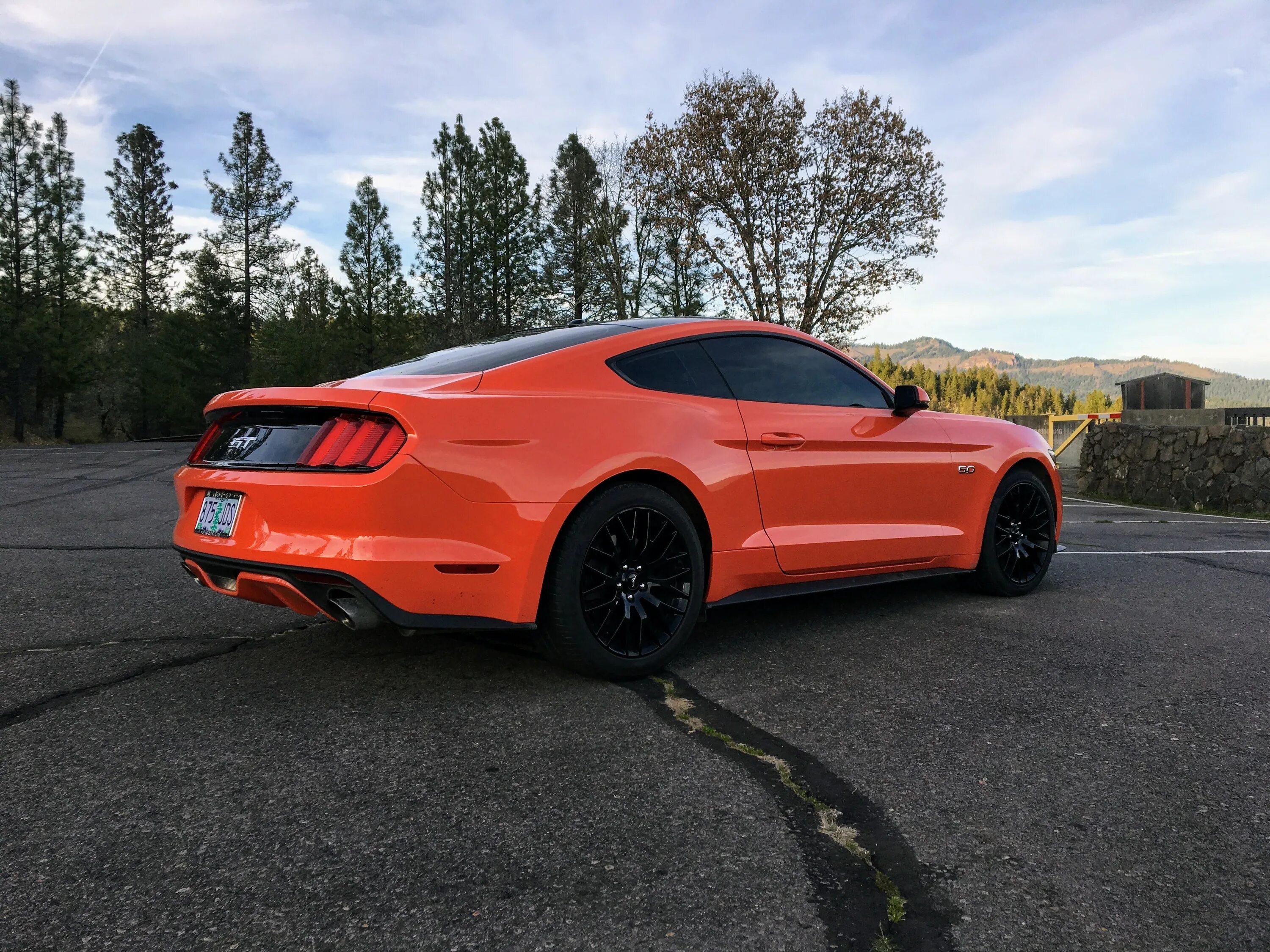 Gt performance. Форд Мустанг 2016. Ford Mustang 2016. Ford Mustang gt Performance. Мустанг Форд 2016 перфоманс.