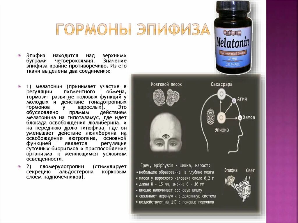 Эпифиз гормоны и функции. Эпифиз какой гормон. Эпифиз какой гормон. Эпифиз какой гормон. Эпифиз гормоны и функции.
