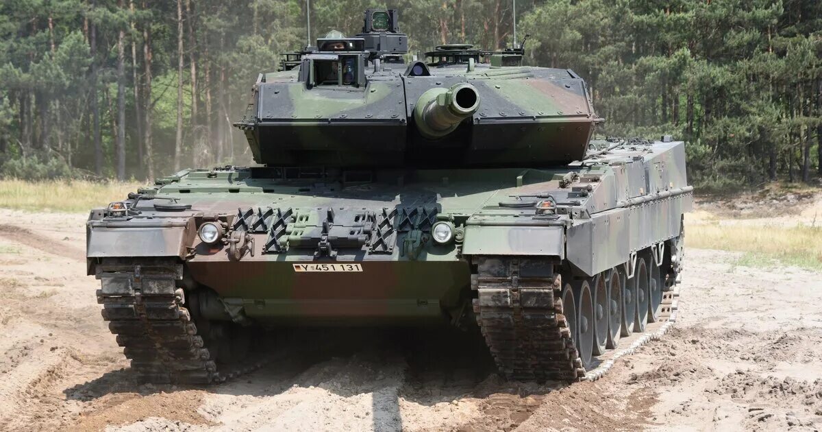 Leopard 7