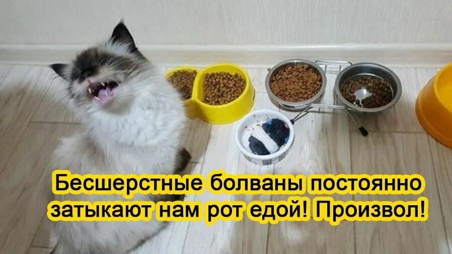 Что нибудь посерьезнее