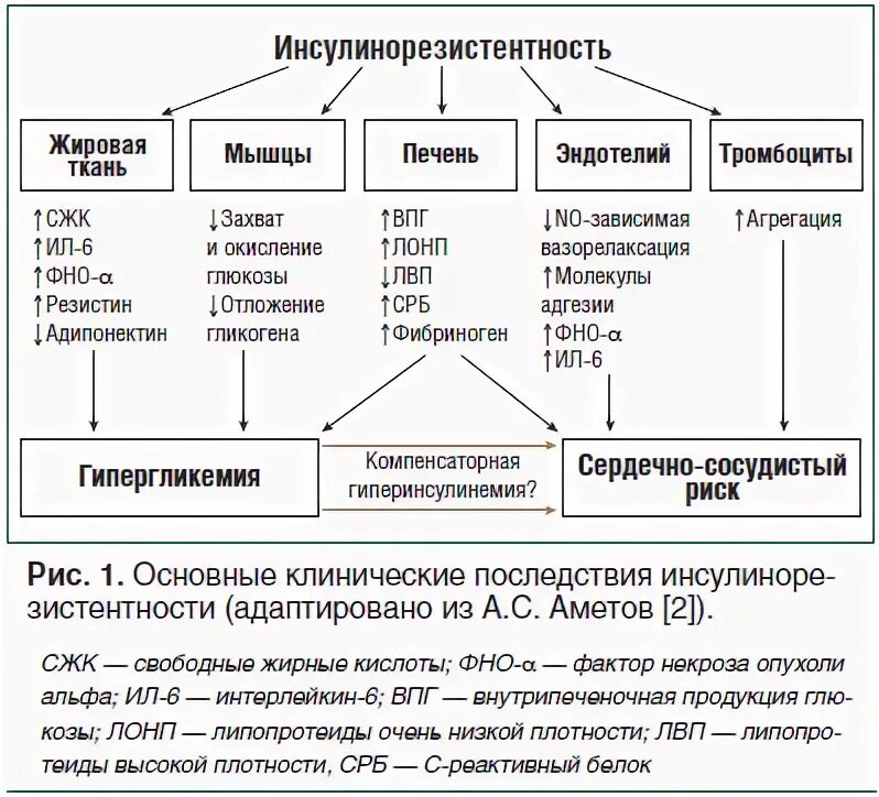 Инсулинорезистентность клинические проявления. Причины развития инсулинорезистентности. Последствия инсулинорезистентности. Клинические признаки инсулинорезистентности.