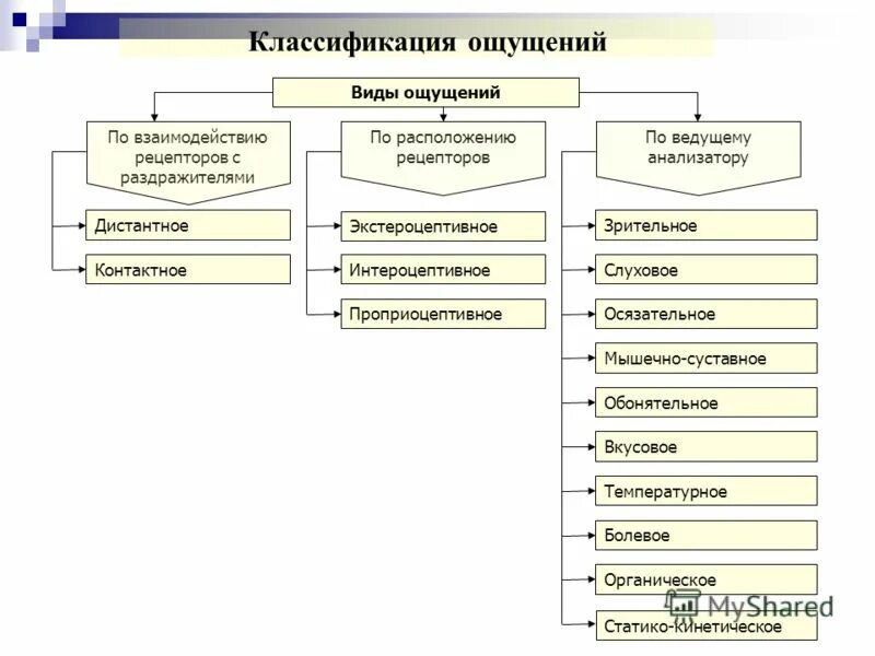 Типы процессов ощущения. Типы процессов ощущения