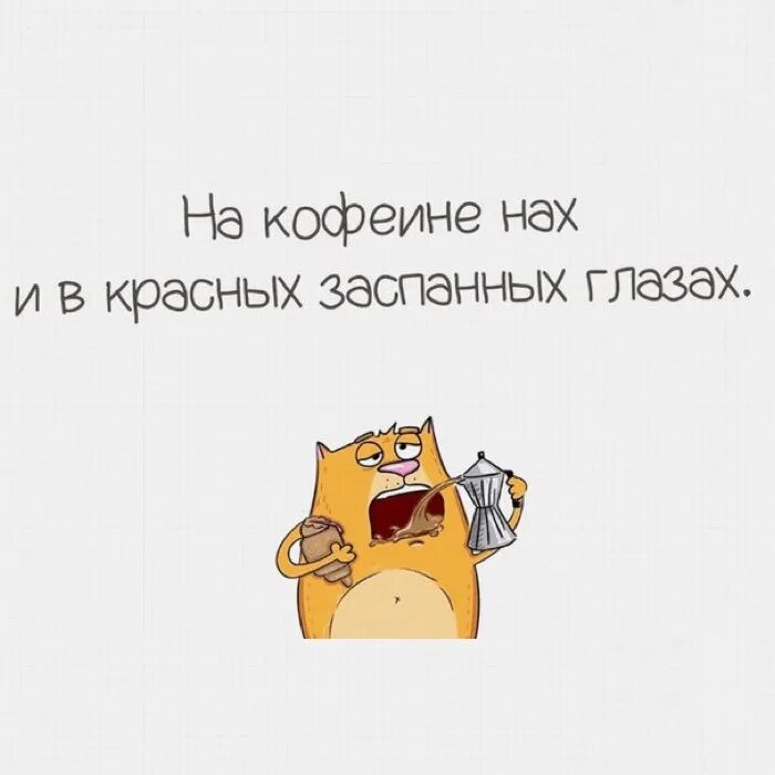 Съем ещё пожалуй торта три куска. Кот пора. Мемы про сбитый режим. Коротко о нем. План прикол.