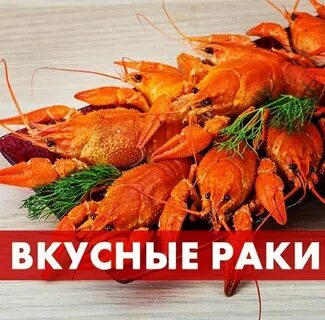 Раки волгоград