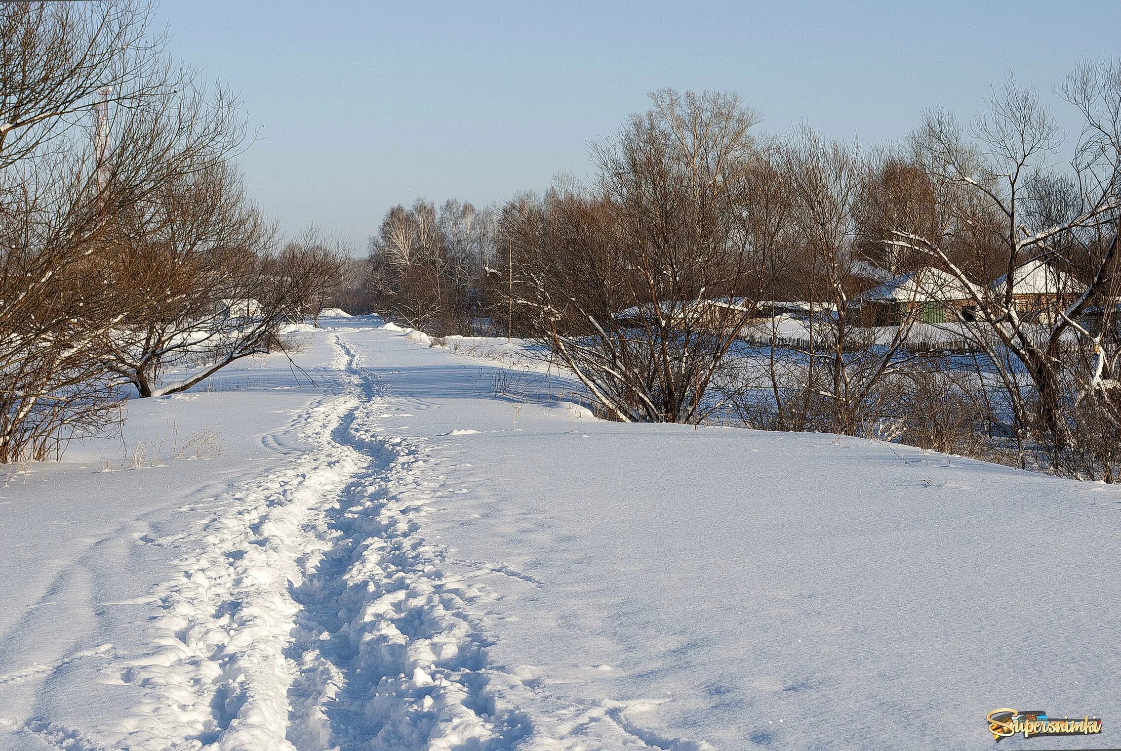 Деревню занесло снегом. Сугробы село. Балка в снегу. Снег в селе.