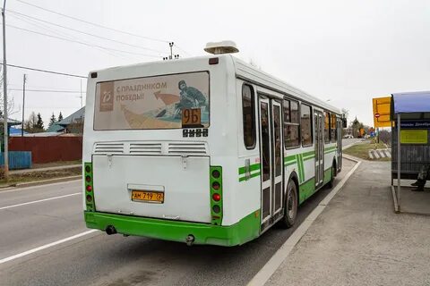 Автобус 256 спб