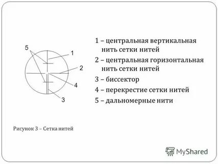 Вертикальная нить
