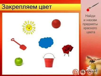 Тон предмет
